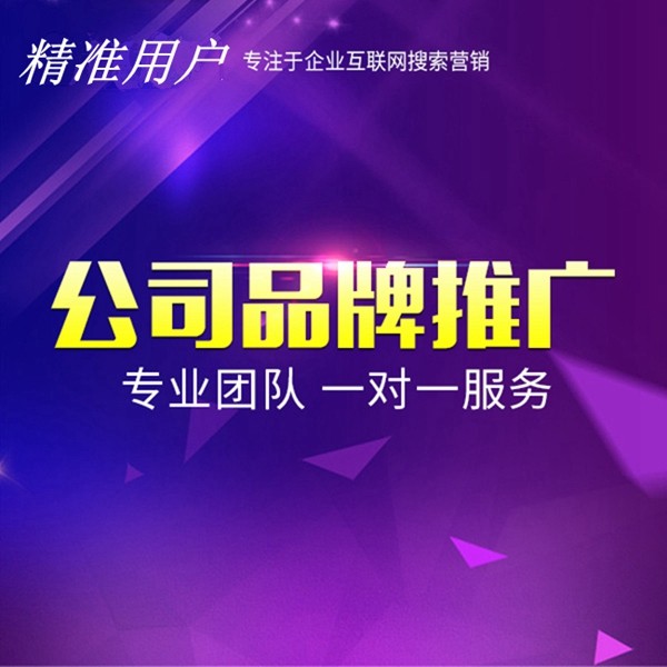 网络营销品牌推广公司