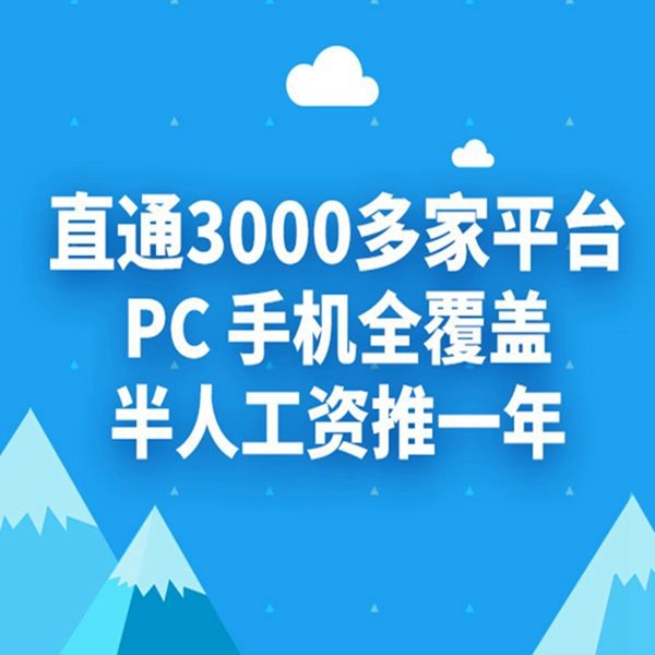 网络推广服务公司
